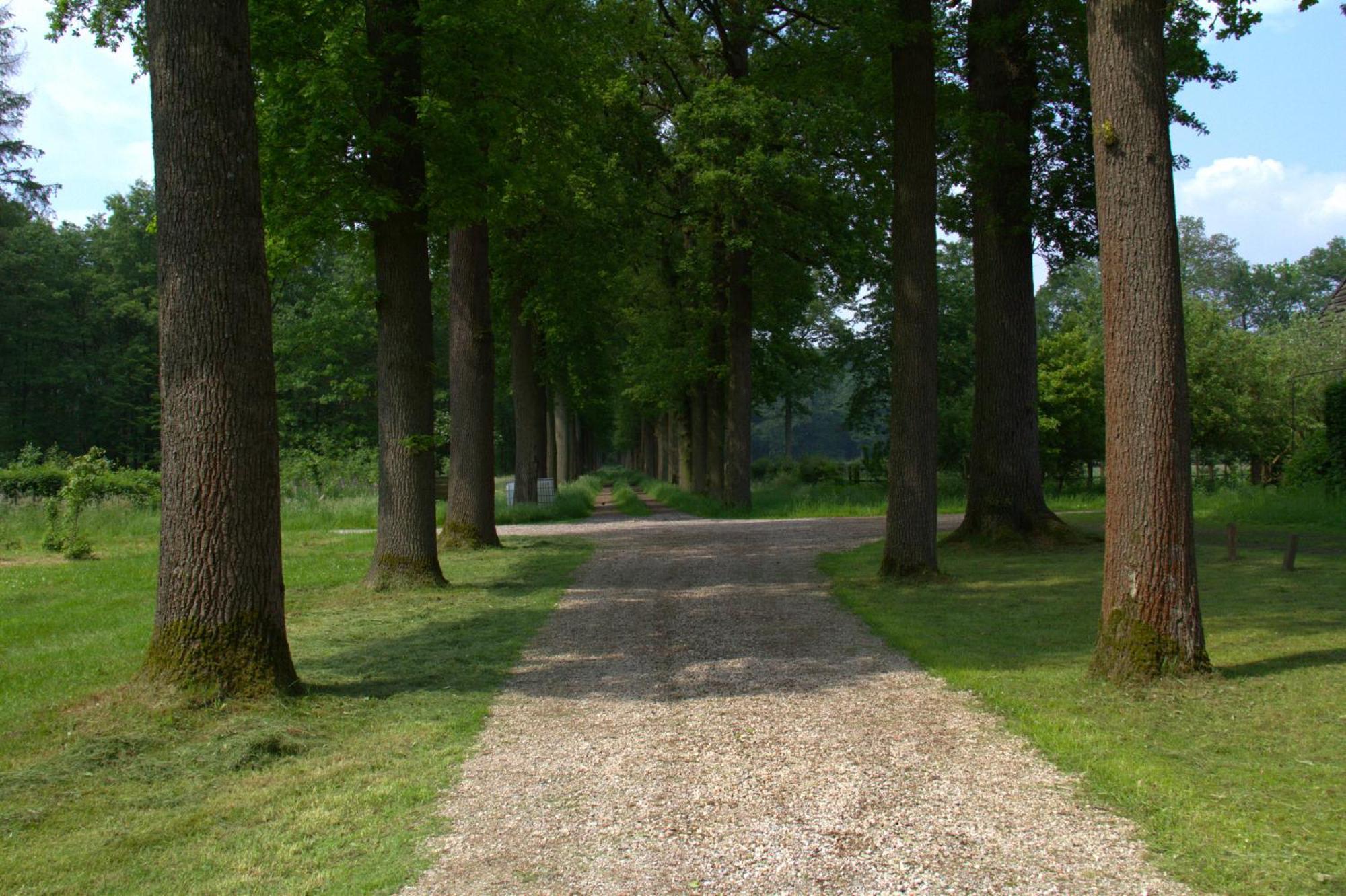 B&B Kasteel Den Tip Arendonk Exterior photo
